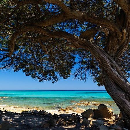 La Ginestra Affittacamere Orosei Esterno foto